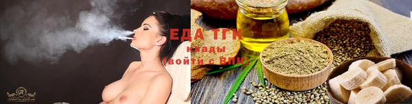 хмурый Арсеньев