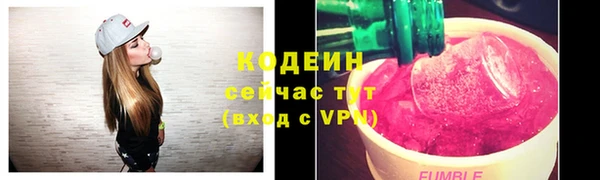 хмурый Арсеньев