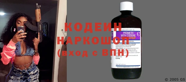 хмурый Арсеньев
