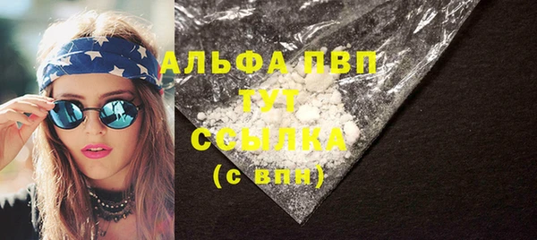 прущие грибы Новый Уренгой