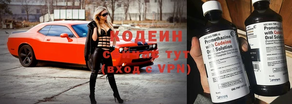 хмурый Арсеньев