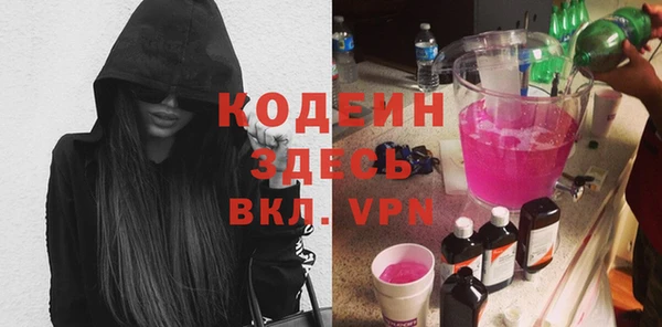 хмурый Арсеньев