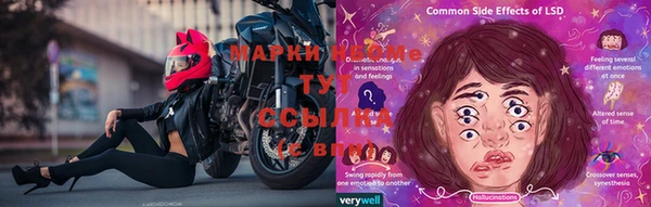 хмурый Арсеньев