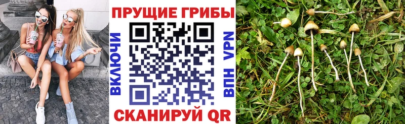 Галлюциногенные грибы Magic Shrooms Бавлы